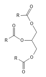 Lipider - Olier - Kemiske struktur af Triacylglycerider | PUCA - PURE & CARE